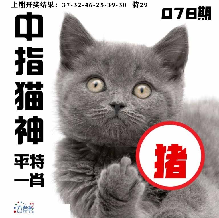 078期中指猫神[图]